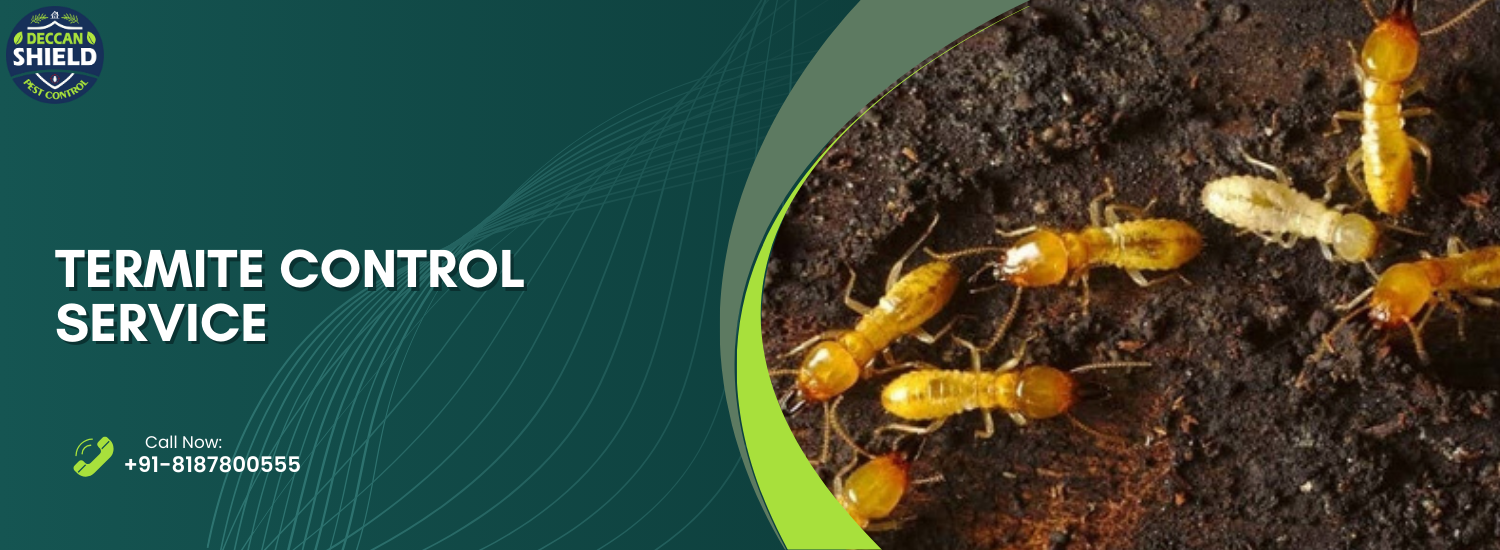 termite control services In Hyderabad,<br />
termite control services,<br />
pest control services Hyderabad,<br />
termite control services near me,<br />
termite treatment,<br />
home pest control services,<br />
eco friendly termite control,<br />
termite treatment,<br />
termite pest control service near me,<br />
termite prevention,<br />
best pest control services near me,<br />
pest control services for termites,<br />
pest control termite treatment,<br />
home pest control services near me,<br />
home termite treatment,<br />
commercial pest control services near me,<br />
pest control near me for termites,<br />
termite protection near me,<br />
eco friendly termite control near me,<br />
best termite control services in Hyderabad,