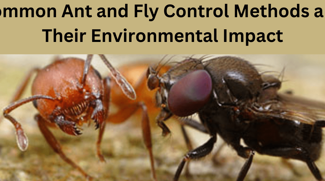 Common Ant and Fly Control Methods and Their Environmental Impact