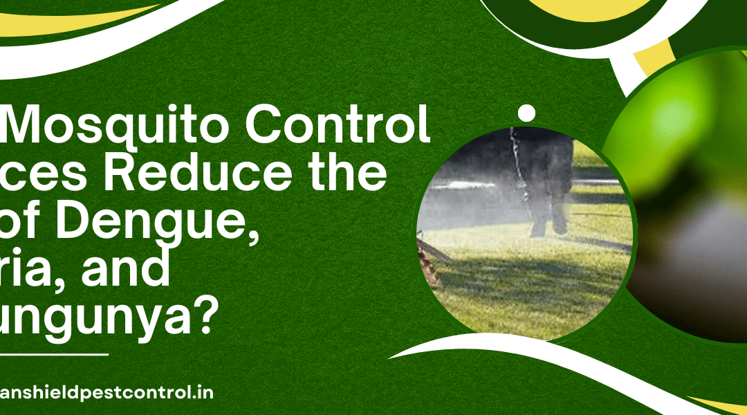 How Mosquito Control Services Reduce the Risk of Dengue, Malaria, and Chikungunya?