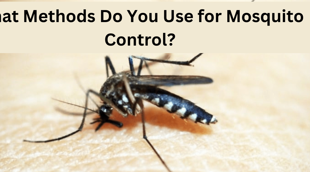 What Methods Do You Use for Mosquito Control ?